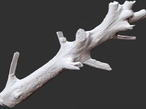 Varredura 3D do tronco de &aacute;rvore em highpoly Modelo 3D