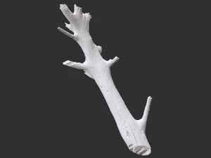 3d scan of tree trunk in highpoly 3D Model