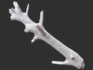3d scan of tree trunk in highpoly 3D Model