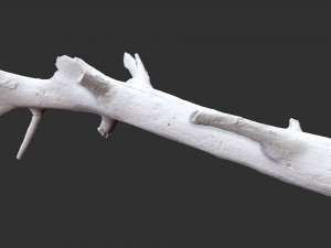 3d scan of tree trunk in highpoly 3D Model