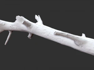3d scan of tree trunk in highpoly 3D Model