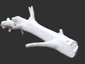 3d scan of tree trunk in highpoly 3D Model