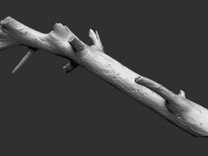 3d scan of tree trunk in highpoly 3D Model
