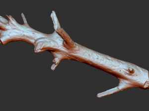 3d scan of tree trunk in highpoly 3D Model