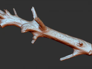 3d scan of tree trunk in highpoly 3D Model