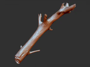 3d scan of tree trunk in highpoly 3D Model