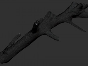 3d scan of tree trunk in highpoly 3D Model