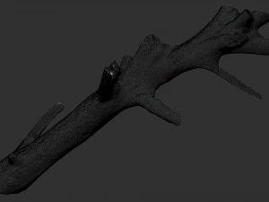 3d scan of tree trunk in highpoly 3D Model