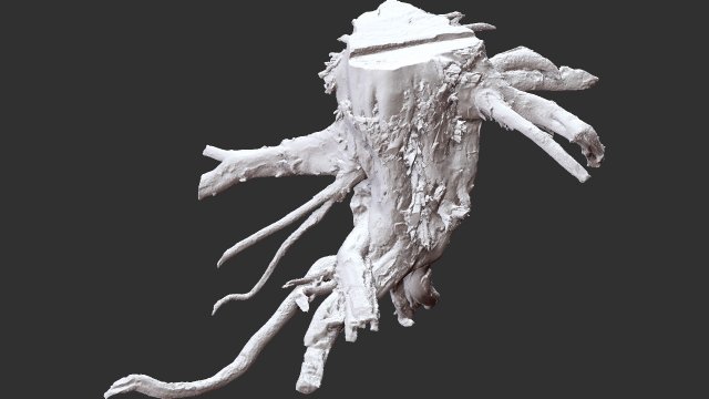 3d scan of tree root in highpoly 3D Modell .c4d .max .obj .3ds .fbx .stl .blend 