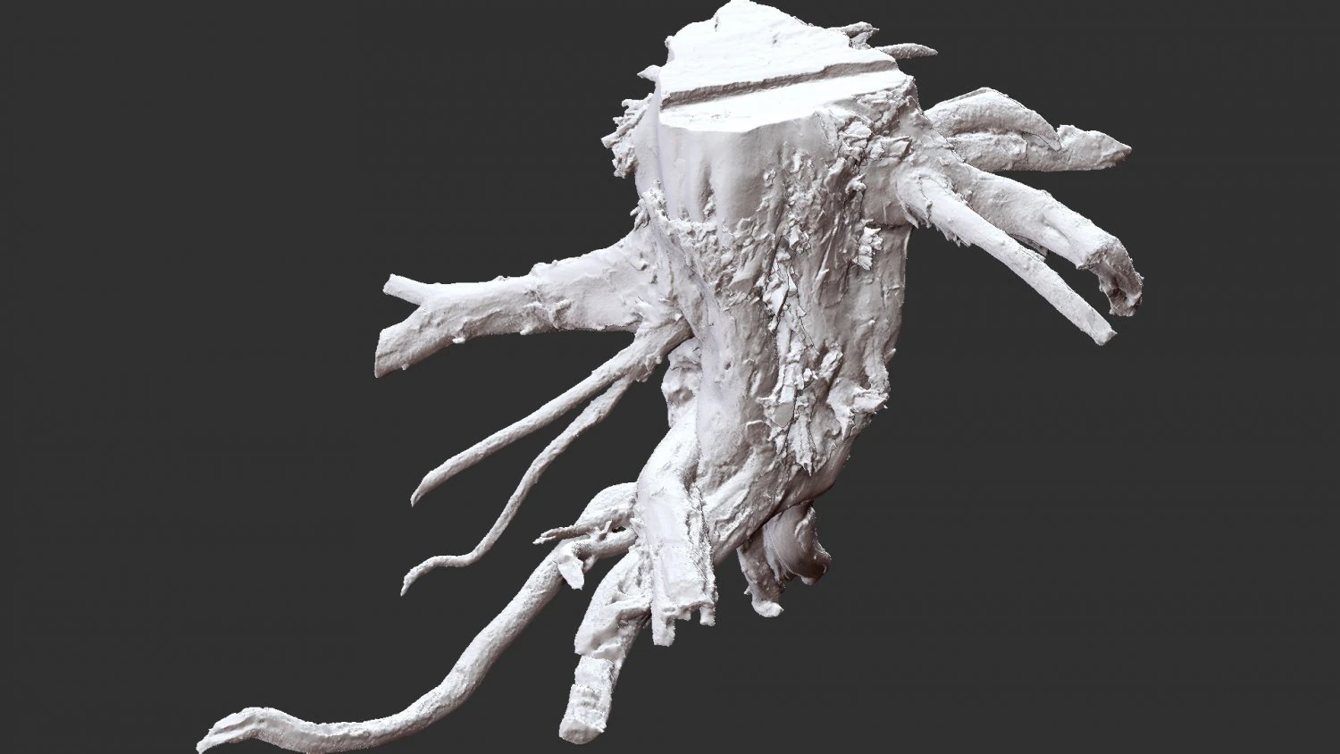 3d scan of tree root in highpoly 3D Model .c4d .max .obj .3ds .fbx .stl .blend