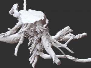 3d scan of tree root in highpoly 3D Modell