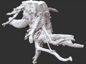3d scan of tree root in highpoly 3D Modell