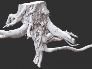3d scan of tree root in highpoly 3D Modell