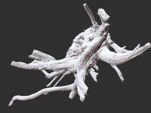 3d scan of tree root in highpoly 3D Modell