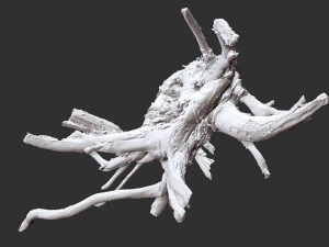 3d scan of tree root in highpoly 3D Model