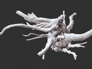 3d scan of tree root in highpoly 3D Modell
