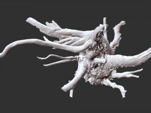 3d scan of tree root in highpoly 3D Model