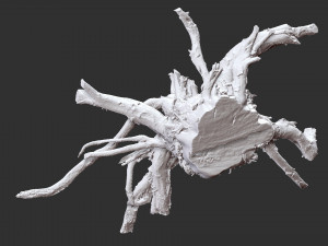 3d scan of tree root in highpoly 3D Modell