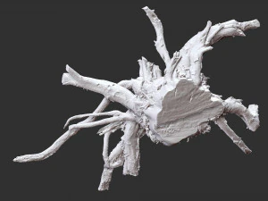 3d scan of tree root in highpoly 3D Model