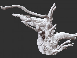 3d scan of tree root in highpoly 3D Modell