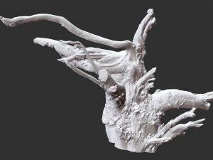 3d scan of tree root in highpoly 3D Model