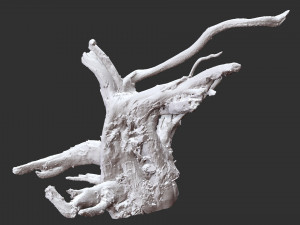 3d scan of tree root in highpoly 3D Modell