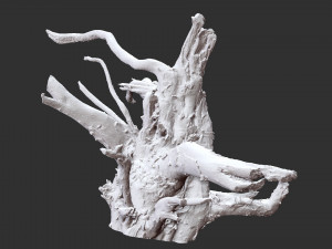 3d scan of tree root in highpoly 3D Modell
