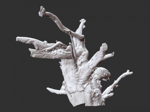 3d scan of tree root in highpoly 3D Modell