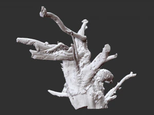 3d scan of tree root in highpoly 3D Model