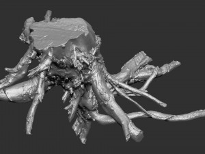 3d scan of tree root in highpoly 3D Modell