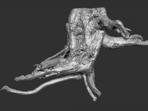 3d scan of tree root in highpoly 3D Modell