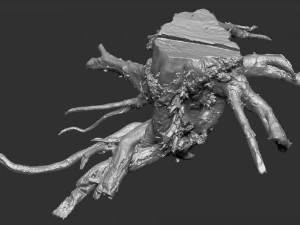 3d scan of tree root in highpoly 3D Model