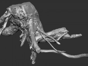 3d scan of tree root in highpoly 3D Modell