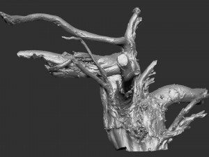 3d scan of tree root in highpoly 3D Modell
