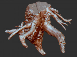 3d scan of tree root in highpoly 3D Modell