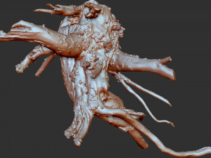 3d scan of tree root in highpoly 3D Modell