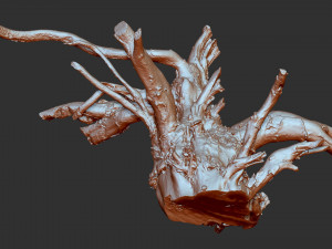 3d scan of tree root in highpoly 3D Modell