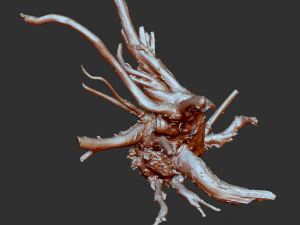 3d scan of tree root in highpoly 3D Model
