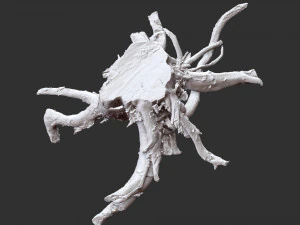 3d scan of tree root in highpoly 3D Model