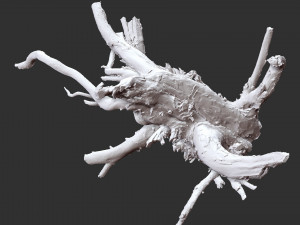 3d scan of tree root in highpoly 3D Modell
