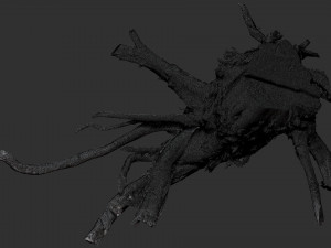 3d scan of tree root in highpoly 3D Modell