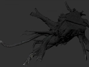 3d scan of tree root in highpoly 3D Model