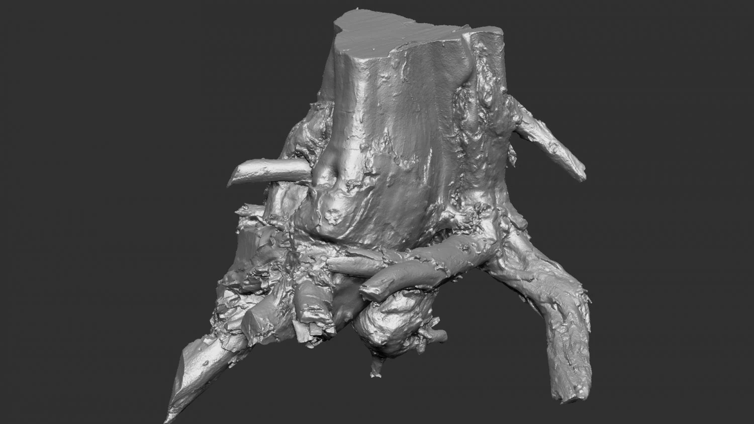3d scan of tree root in highpoly 3D Model .c4d .max .obj .3ds .fbx .stl .blend 