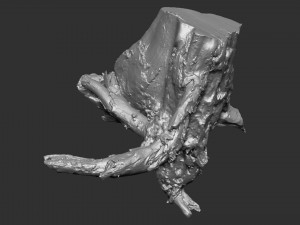3d scan of tree root in highpoly Model 3D