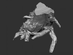 3d scan of tree root in highpoly Model 3D