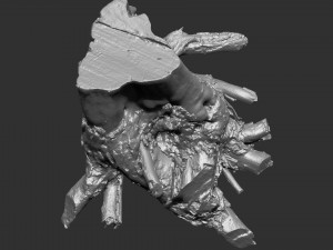 3d scan of tree root in highpoly Model 3D