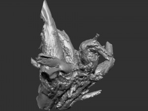 3d scan of tree root in highpoly Model 3D