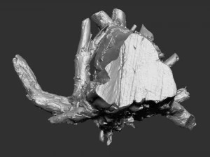 3d scan of tree root in highpoly 3D Model