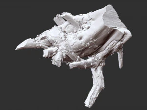 3d scan of tree root in highpoly 3D Model