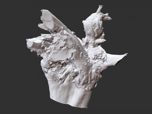 3d scan of tree root in highpoly Model 3D